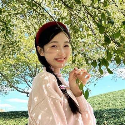 鬣狗式生存