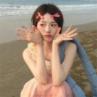完美的独裁国家